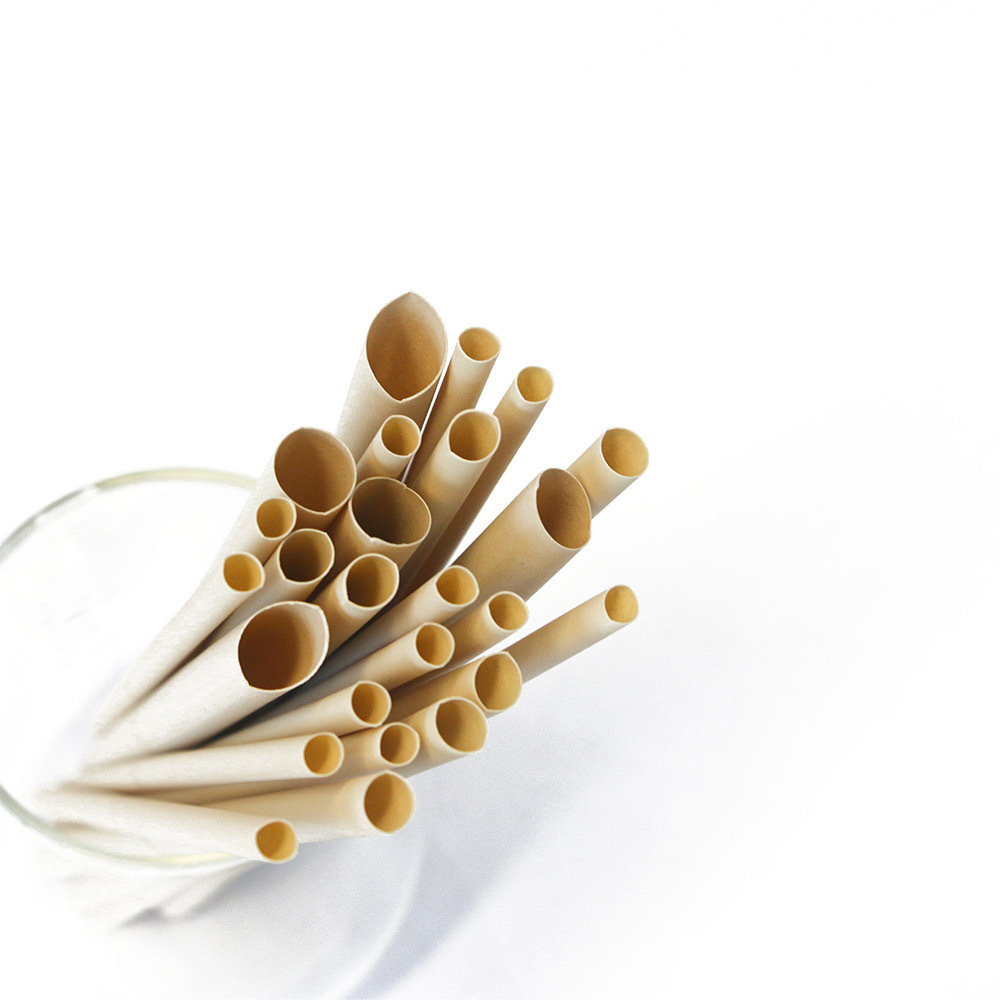 Bamboo Fiber Straw - Oblique