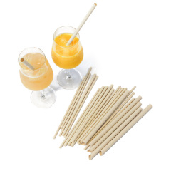 Bamboo Fiber Straw - Oblique
