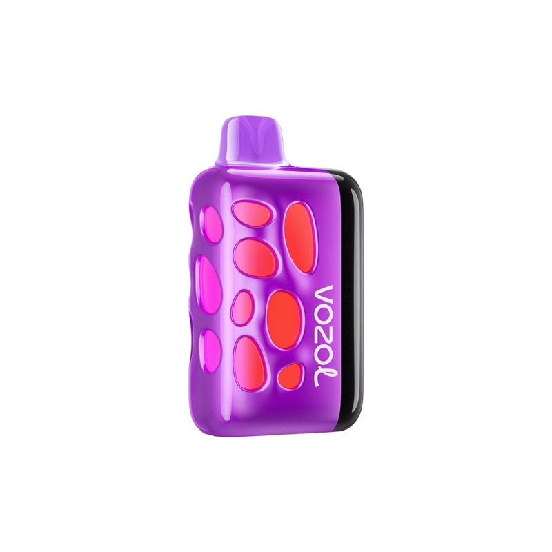 Vozol Rave 40000 Puffs 50 mg Vape of flavor, grape ice