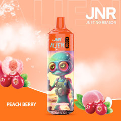 JNR Alien 10,000 puffs vape in peach berry flavor, illustrated with peach and berry in the background.