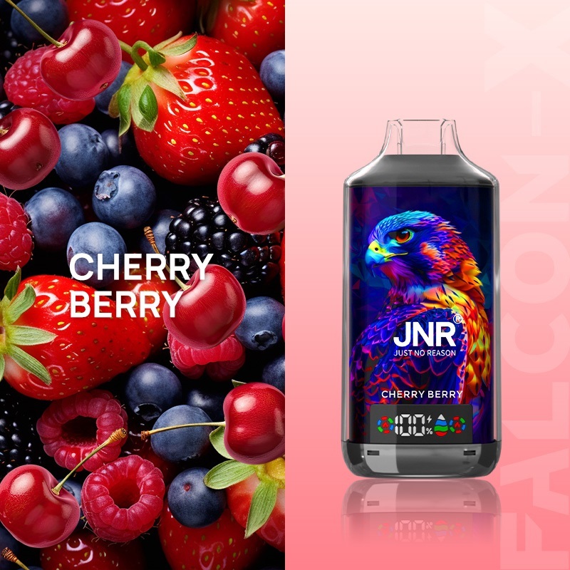 JNR Falcon-X 18000 Puffs Vape in cherry berry flavor with strawberry, raspberry, blackberry and blueberry in the picture alongside.