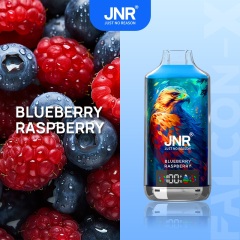 JNR Falcon-X 18000 Puffs Vape in blueberry raspberry flavor with blueberry and raspberry in the picture alongside.