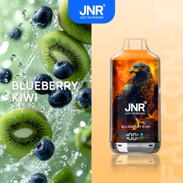 JNR Falcon-X 18000 Puffs Vape in blueberry kiwi flavor with blueberry and kiwi in the picture alongside.