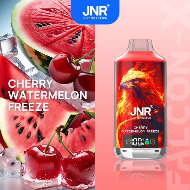 JNR Falcon-X 18000 Puffs Vape in cherry watermelon freeze flavor with cherry, watermelon and ice in the picture alongside.