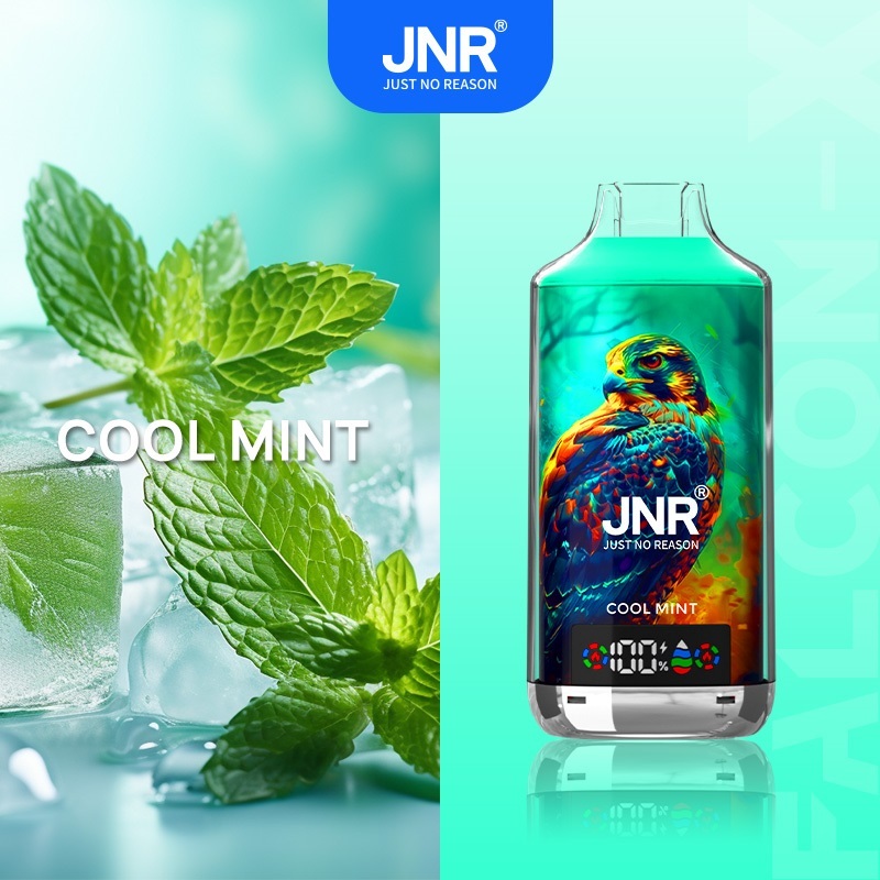 JNR Falcon-X 18000 Puffs Vape in cool mint flavor with mint and ice in the picture alongside.