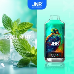 JNR Falcon-X 18000 Puffs Vape in cool mint flavor with mint and ice in the picture alongside.
