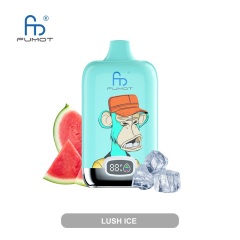 Fumot Digital Box 12000 Puffs Vape featuring the flavor lush ice