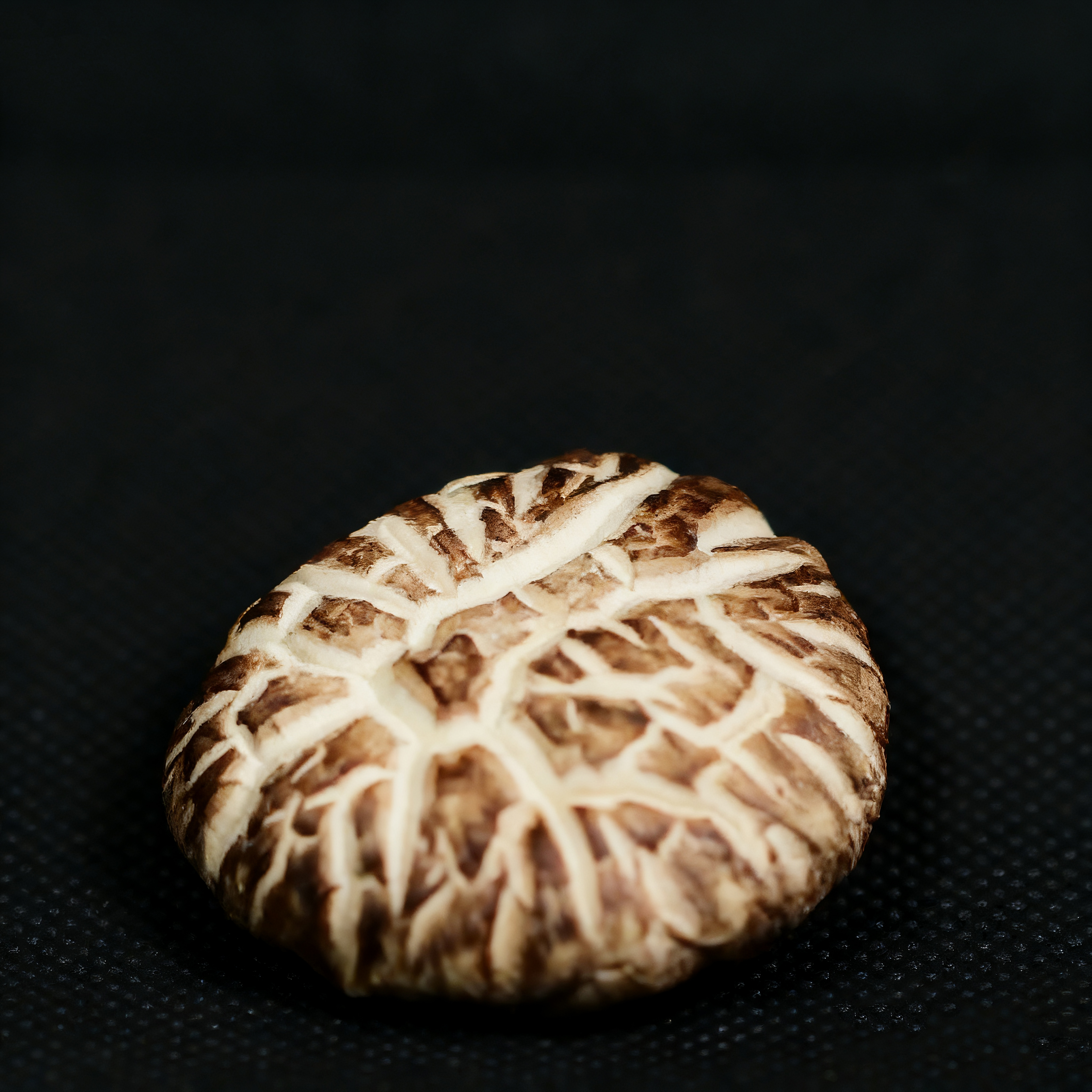 Flower Mushroom