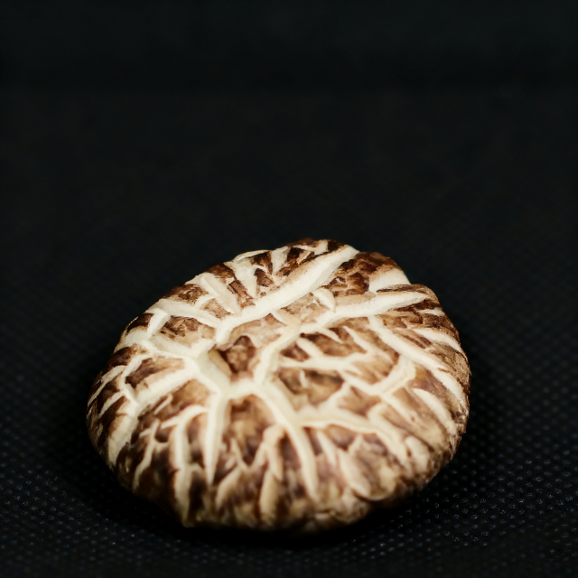 Flower Mushroom