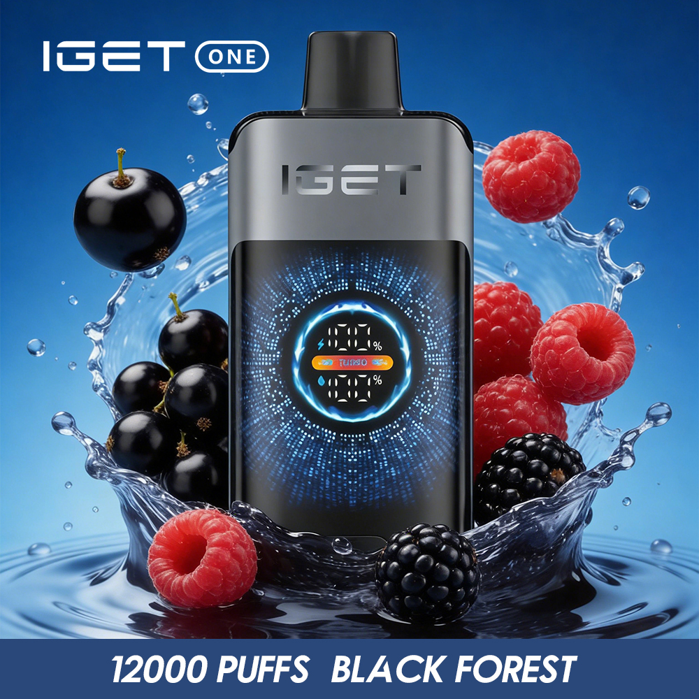 IGET ONE 12,000 Puffs