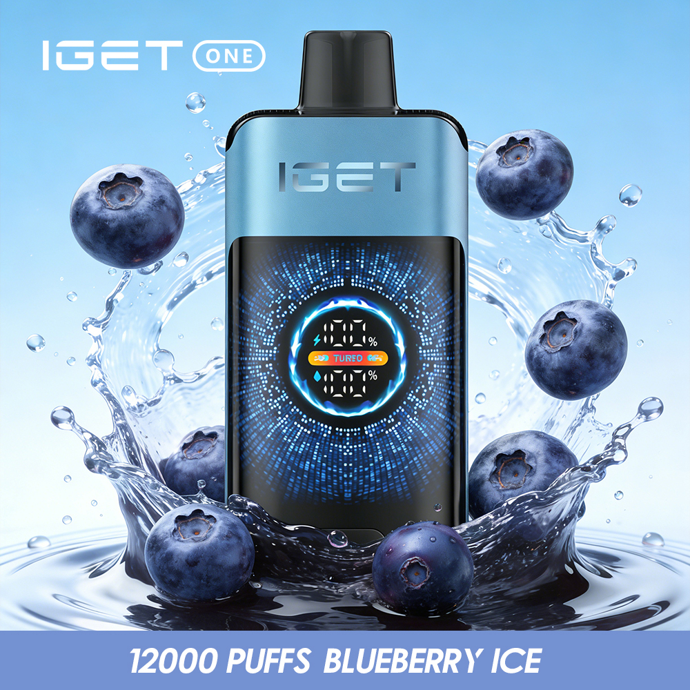 IGET ONE 12,000 Puffs
