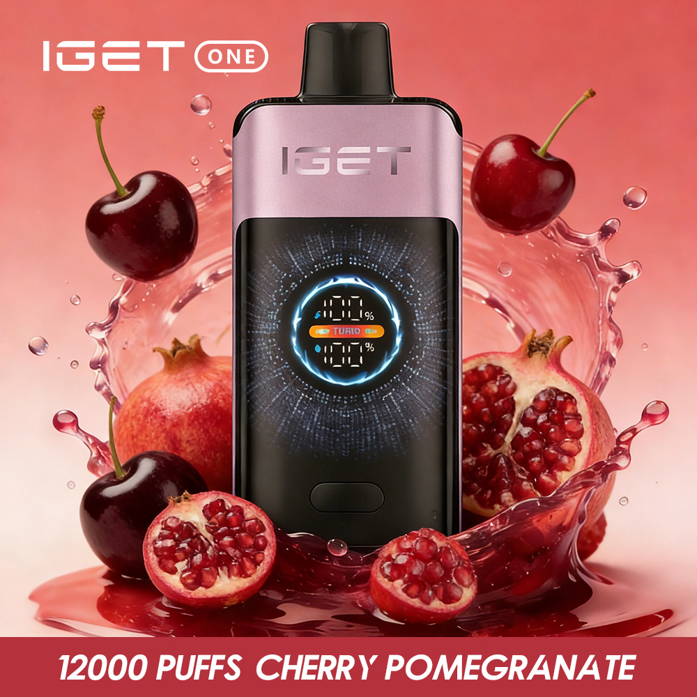 IGET ONE 12,000 Puffs