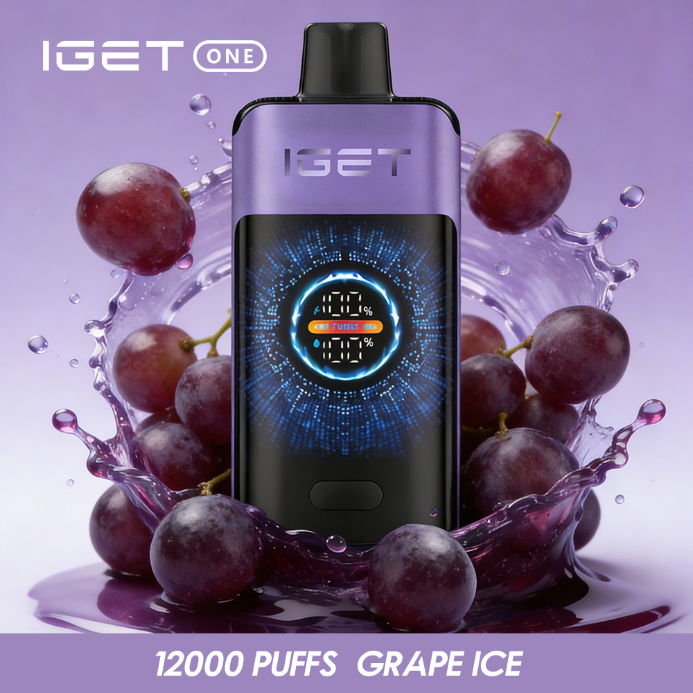IGET ONE 12,000 Puffs