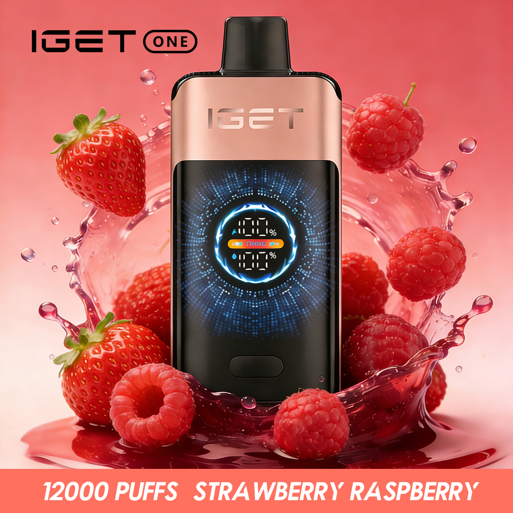 IGET ONE 12,000 Puffs