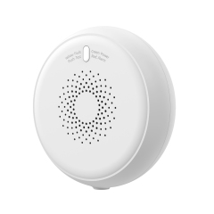 Smart Gas Sensor