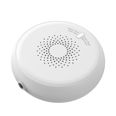 Smart Gas Sensor