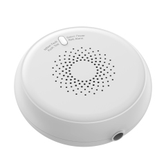 Smart Gas Sensor