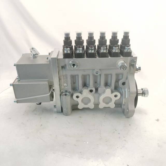 5293648 10403716285 Fuel Pump for Cummins