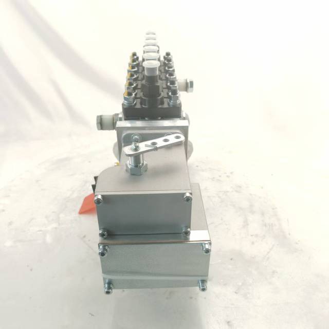 5293648 10403716285 Fuel Pump for Cummins