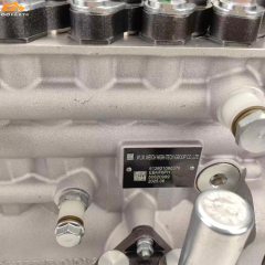 Fuel Injection Pump 612601080376 6P1222 For Weichai WP10.336NE31 WP10 Engine