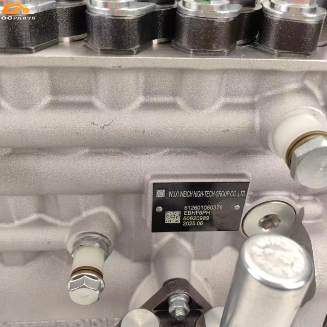 Fuel Injection Pump 612601080376 6P1222 For Weichai WP10.336NE31 WP10 Engine