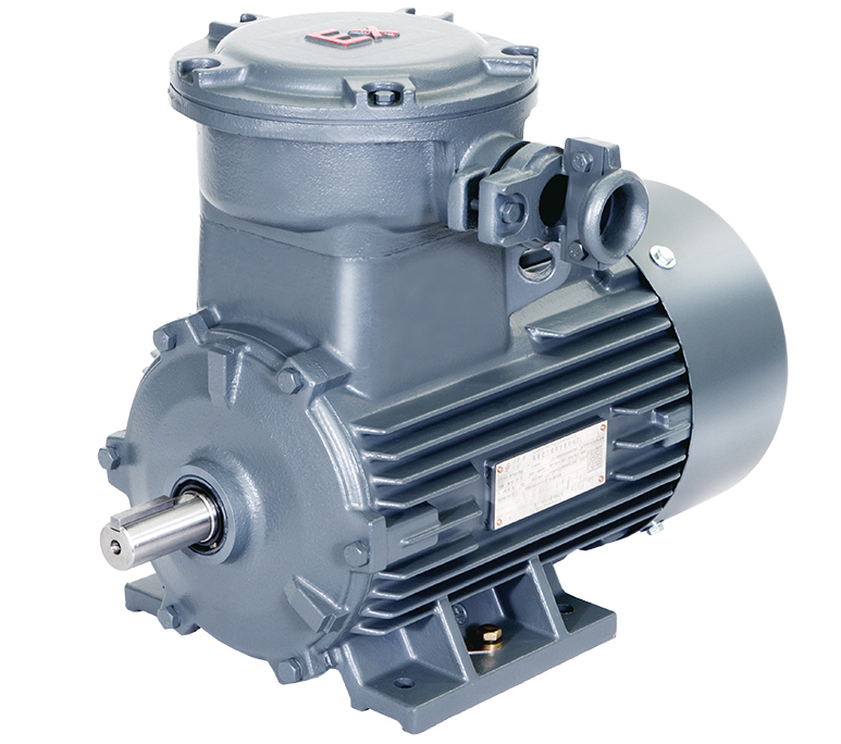 1MT0003 IE4 series Flameproof Low Voltage Three-phase Asynchronous Motor