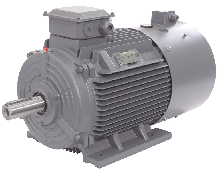 YVF2 series Low-voltage Three-phase Asynchronous Motor