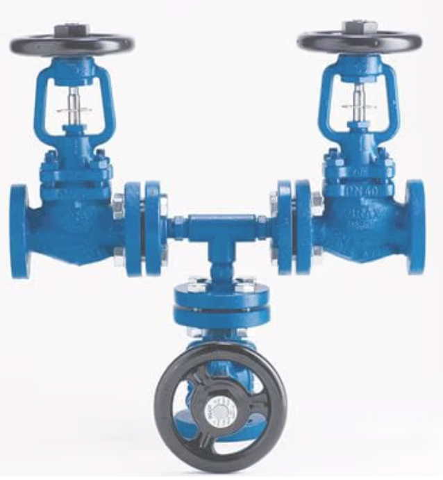 Spirax Sarco DBB3 Double Block and Bleed Bellows Sealed Stop Valve