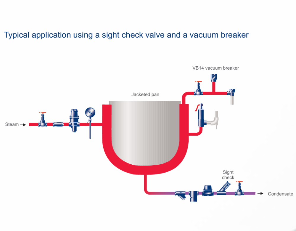 Spirax Sarco Check Valves