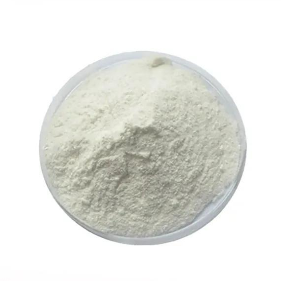 Phytase Enzyme