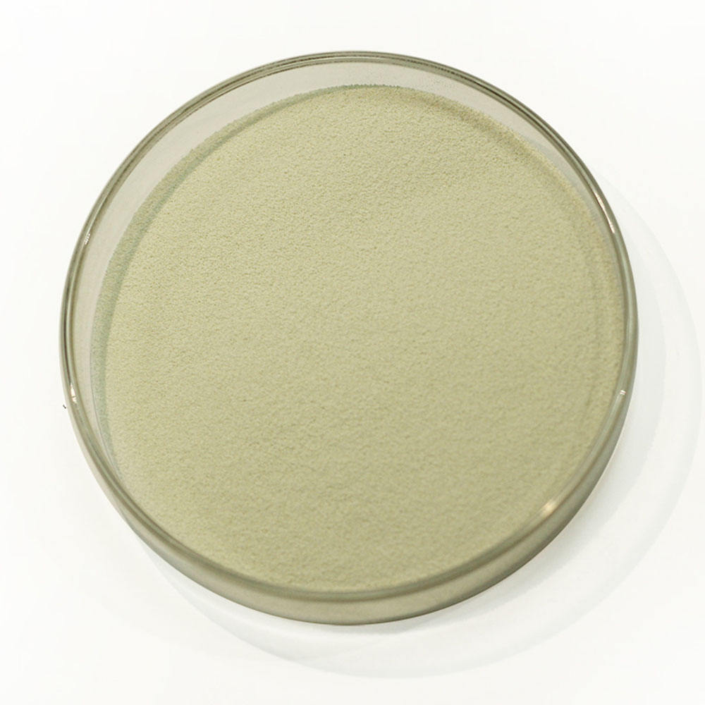 Xylanase Enzyme
