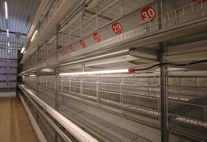 Layer duck cage