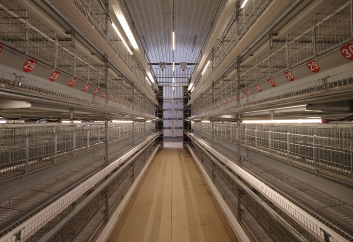 Layer duck cage