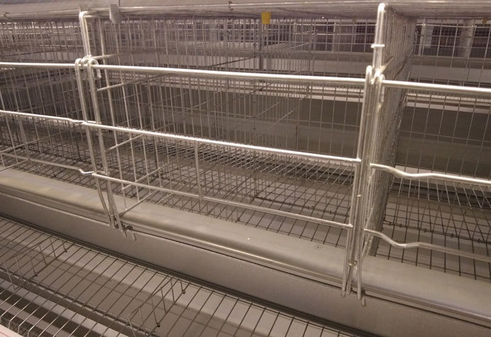 Layer duck cage
