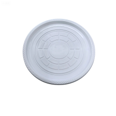 Pizza Plate