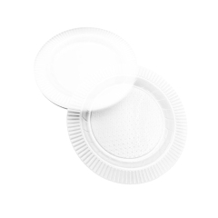 10” Round Plate ——Transparency