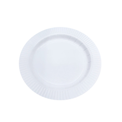 10” Round Plate ——White