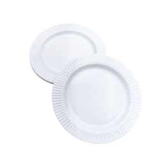 10” Round Plate ——White