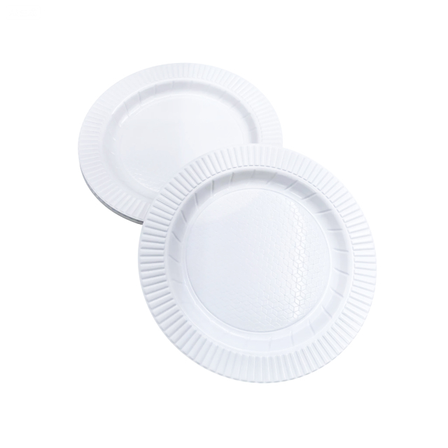 10” Round Plate ——White