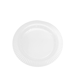 10” Round Plate ——Transparency