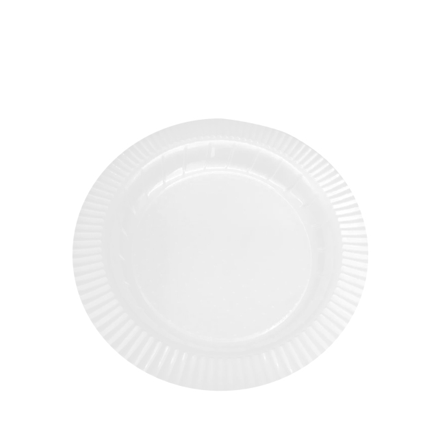 10” Round Plate ——Transparency