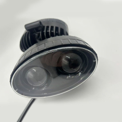 Blue Spot Light