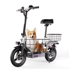 T3 Folding Ebike