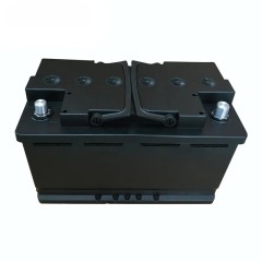 Starter battery
