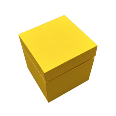 Custom Rigid Specialty Paper Gift Boxes - Premium Retail Packaging for Cosmetics and Watches