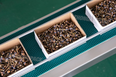 Máquina empacadora de fijaciones en cartón