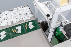 Infeed Conveyor Packing Machine