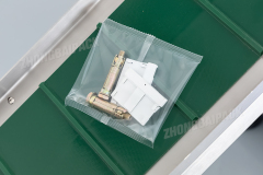 Infeed Conveyor Packing Machine