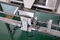 Box Filling Packing Machine with Two Heads Electronic Weighing System
