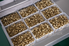 Box Filling Packing Machine with Two Heads Electronic Weighing System